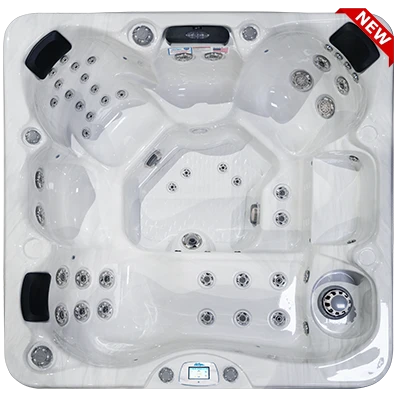 Avalon-X EC-849LX hot tubs for sale in Vancouver
